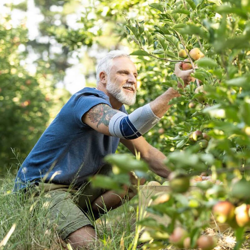 Man bending down to pick apples while wearing the EpiTrain. Man bending down to pick apples while wearing Bauerfeind's EpiTrain elbow brace.