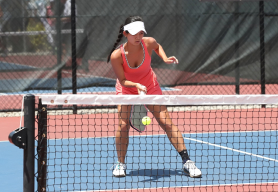 Preview Image Pickleball Visualization of Preview Image Pickleball