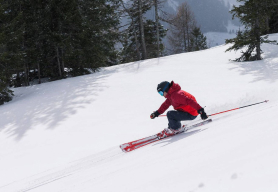 Preview Image Winter Sports Ski Braces Supports Visualization of Preview Image Winter Sports Ski Braces Supports