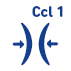 Visualization of Compression Class 1 