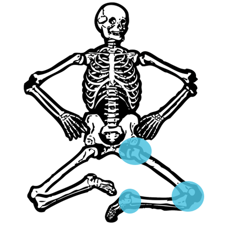 Human skeleton that highlights the areas of the body that can be affected by foot pain. Graphic of a human skeleton that highlights the areas of the body that can be affected by foot pain.