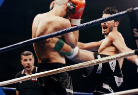 Preview Image Combat Sports Visualization of Preview Image Combat Sports